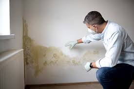 Best Commercial Mold Inspection  in , SC